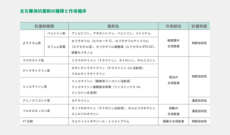 2021-4-27-04 | Zoetis JP